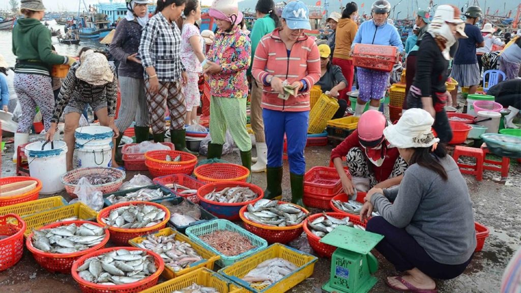 Tổng hợp 10 chợ hải sản Đà Nẵng nổi tiếng với hải sản tươi sống giá gốc 