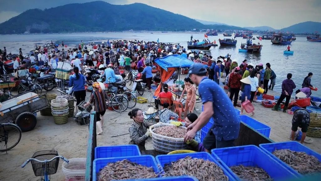 Chợ hải sản Đà Nẵng Thanh Khê nơi người dân địa phương mua hải sản tươi sống mỗi ngày 