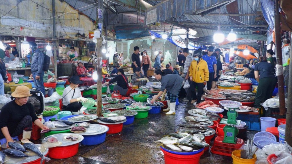 Chợ hải sản Đà Nẵng Mân Thái bến cá ven biển nhộn nhịp vào buổi sáng sớm 