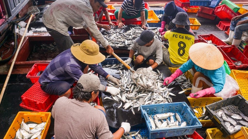 Mua bán hải sản nhộn nhịp tại chợ cá Thọ Quang