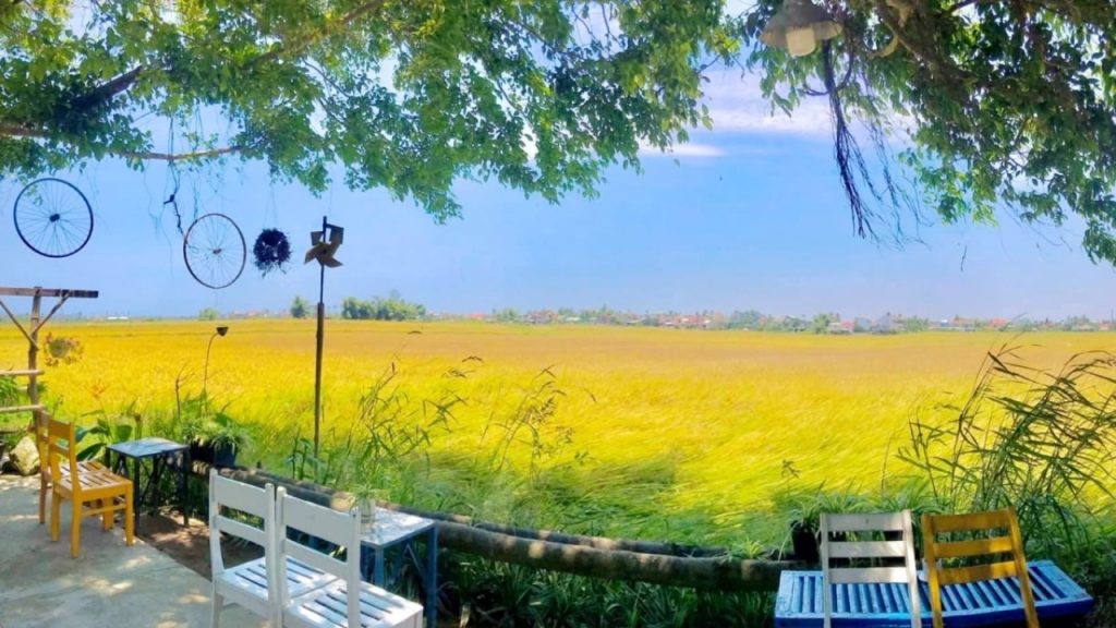 Quán cafe yên tĩnh phù hợp tận hưởng nhịp sống chậm 