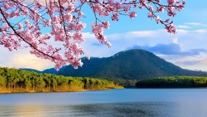 Khám phá hồ Tuyền Lâm Đà Lạt với nhiều trải nghiệm để đời