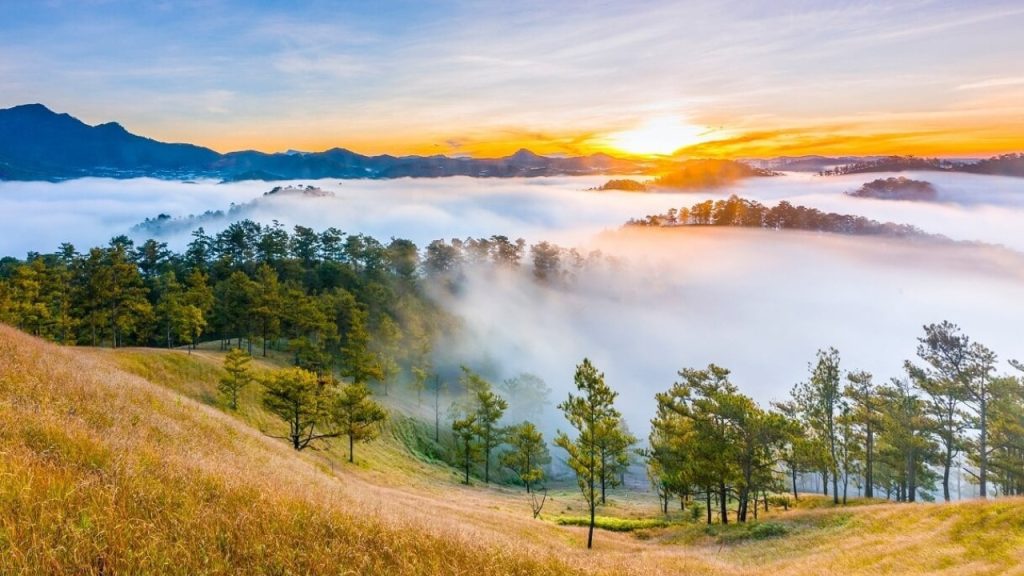 Sáng sớm là thời điểm lý tưởng để săn mây ở Đà Lạt
