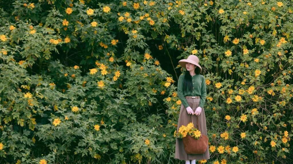 Chụp ảnh với hoa dã quỳ Đà Lạt theo cách phối màu tương phản