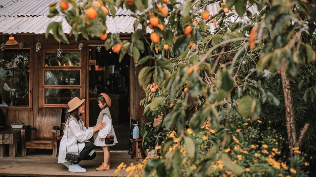 Gợi ý outfit mùa thu khi checkin mùa hồng Đà Lạt