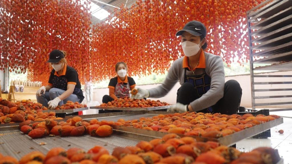 Quy trình làm hồng treo gió Đà Lạt theo phương pháp Nhật Bản