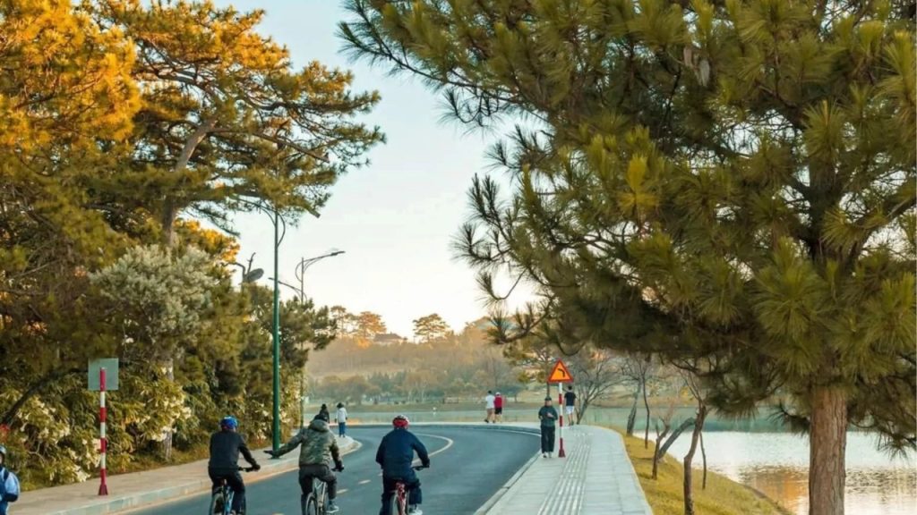 Từ khách sạn đường Bùi Thị Xuân Đà Lạt dễ dàng đi bộ đến Chợ Đêm và Hồ Xuân Hương