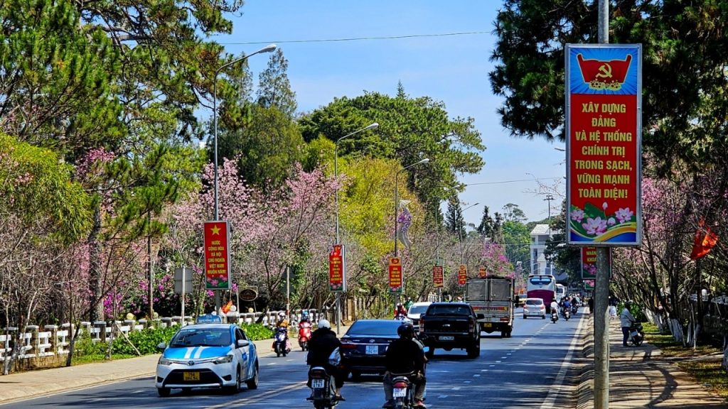 Phương tiện di chuyển an toàn khi ăn nhậu tại Đà Lạt