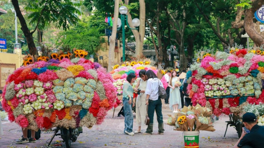 Đường Phan Đình Phùng với hàng cây xanh và khung cảnh mùa thu Hà Nội
