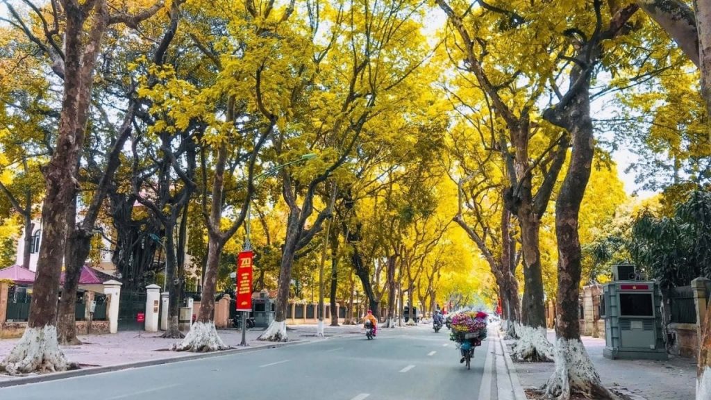 Hà Nội vào thu với những con phố dịu mát và hàng cây chuyển mùa