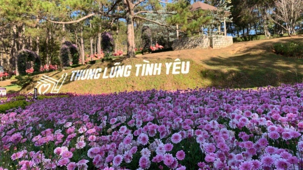 Thung Lũng Tình Yêu Đà Lạt với rừng thông và cảnh quan xanh mát