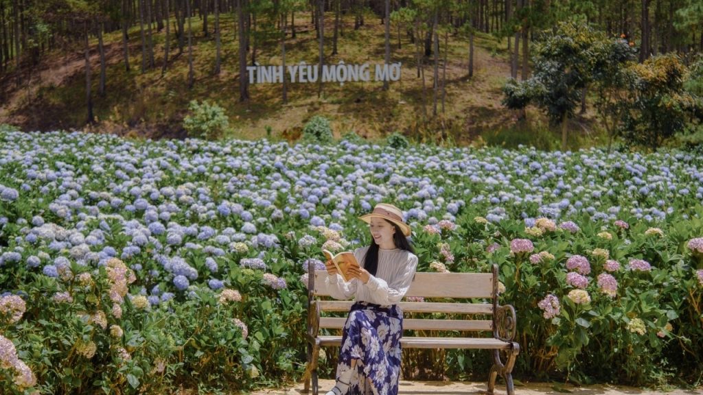 Du khách tham quan và checkin các khu vực trong Thung Lũng Tình Yêu