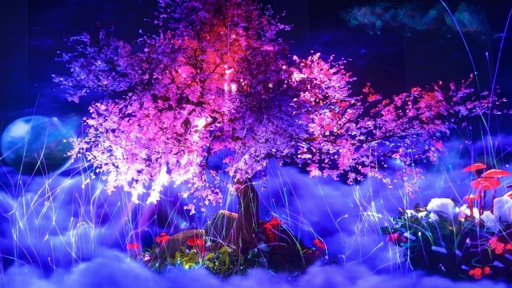Thung lũng Tani mang phong cách Nhật Bản tại Lumiere Đà Lạt